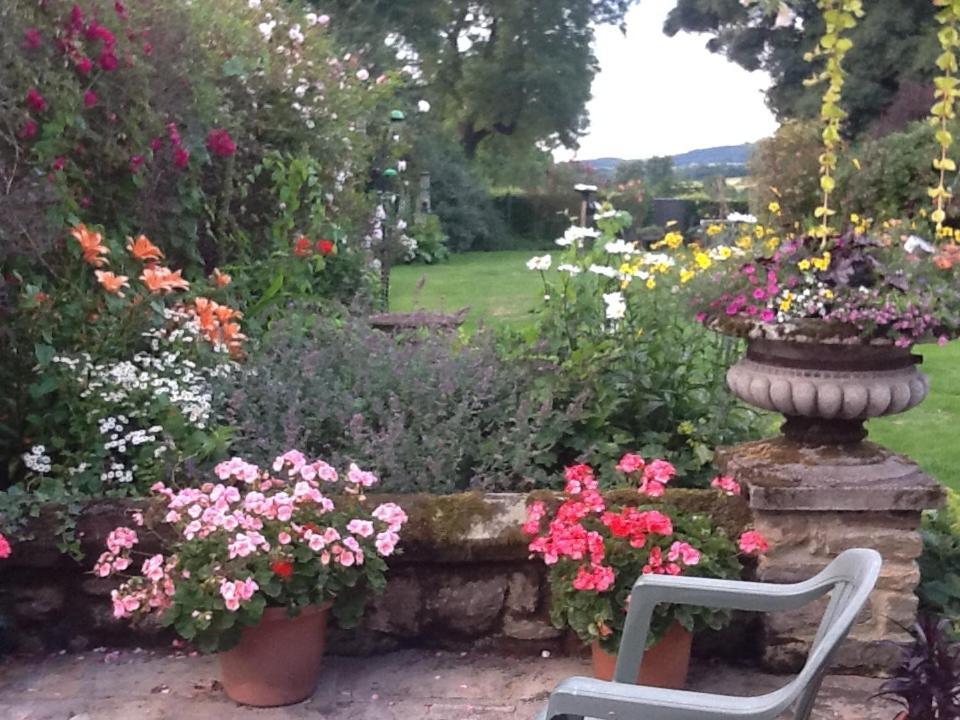 Swan Cottage Coxwold Dış mekan fotoğraf